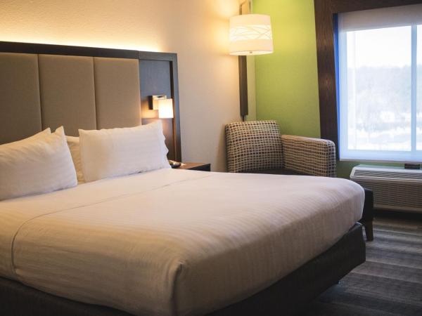 Holiday Inn Express & Suites Columbia-I-26 @ Harbison Blvd, an IHG Hotel : photo 1 de la chambre chambre lit king-size standard