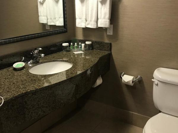 Holiday Inn & Suites Albuquerque-North I-25, an IHG Hotel : photo 3 de la chambre chambre standard