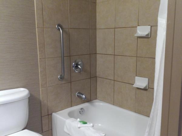 Holiday Inn & Suites Albuquerque-North I-25, an IHG Hotel : photo 2 de la chambre chambre standard avec 2 lits queen-size