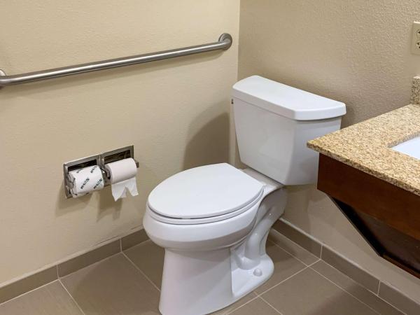 Comfort Inn : photo 3 de la chambre chambre lit king-size - accessible aux personnes à mobilité réduite/non-fumeurs