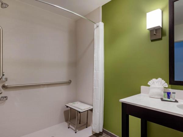 Sleep Inn & Suites Tampa South : photo 1 de la chambre chambre lit king-size - accessible aux personnes à mobilité réduite/non-fumeurs