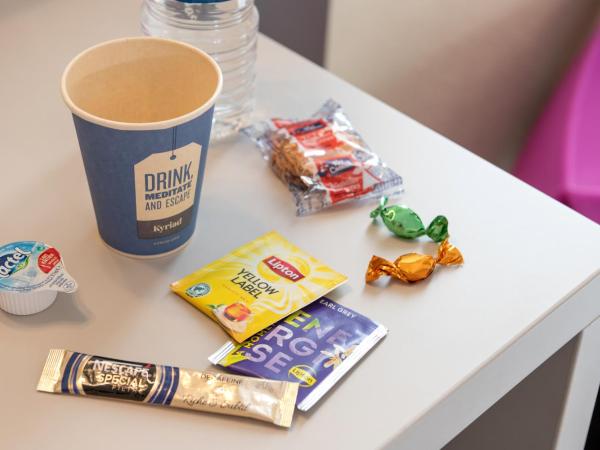 Kyriad Saint-Etienne Centre : photo 7 de la chambre chambre lits jumeaux