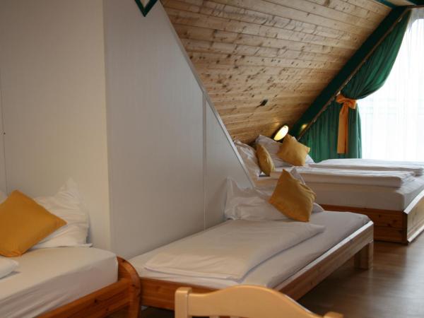 Hotel Asperner Löwe : photo 2 de la chambre chambre quadruple