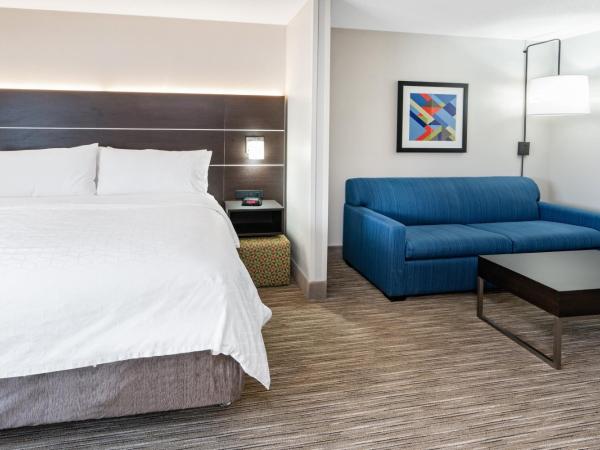 Holiday Inn Express Hotel & Suites Albuquerque - North Balloon Fiesta Park, an IHG Hotel : photo 2 de la chambre suite lit king-size – non-fumeurs