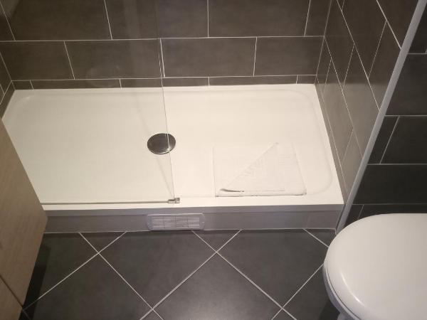 Hôtel De La Perdrix Rouge : photo 3 de la chambre grande chambre double