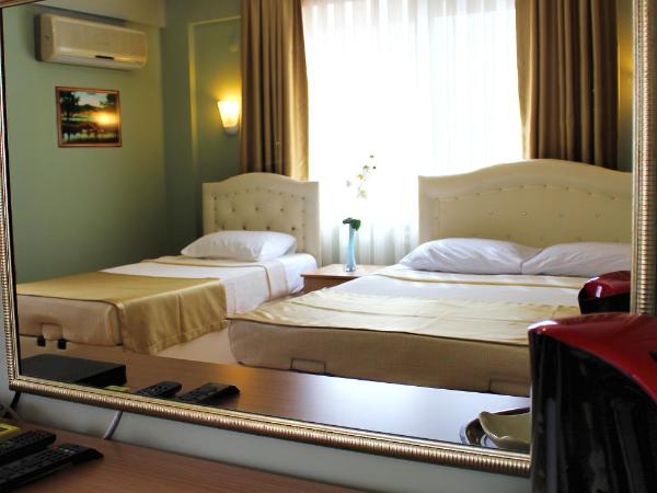 Hotel Dost : photo 5 de la chambre chambre double ou lits jumeaux standard