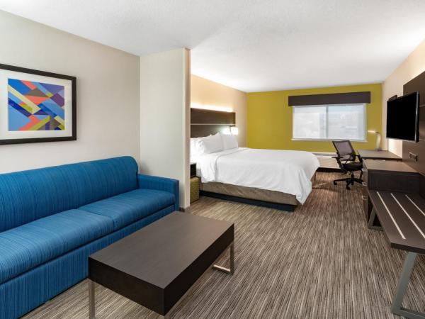 Holiday Inn Express Hotel & Suites Albuquerque - North Balloon Fiesta Park, an IHG Hotel : photo 1 de la chambre suite lit king-size – non-fumeurs