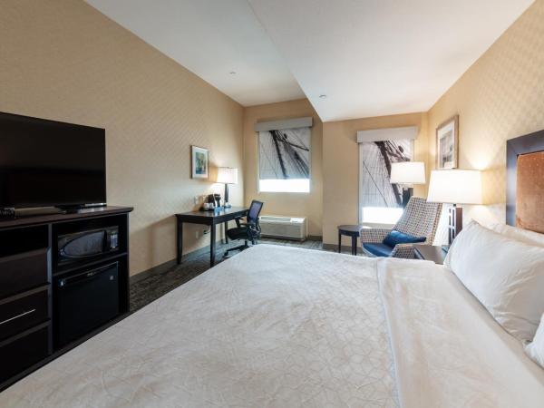 Holiday Inn Express & Suites Riverport Richmond, an IHG Hotel : photo 4 de la chambre suite lit king-size avec baignoire spa