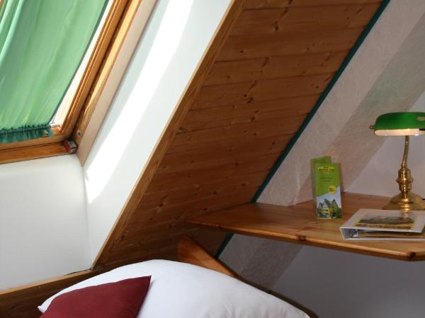 Hotel Asperner Löwe : photo 2 de la chambre petite chambre simple