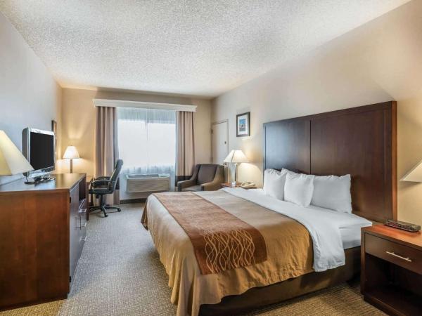 Comfort Inn & Suites Seattle North : photo 4 de la chambre chambre lit king-size