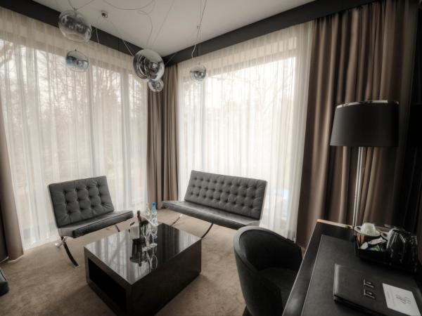 Platinum Palace Boutique Hotel & SPA : photo 5 de la chambre suite lit king-size