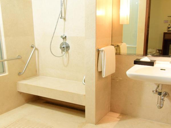Holiday Inn Jaipur City Centre, an IHG Hotel : photo 3 de la chambre chambre lit king-size - accessible aux personnes à mobilité réduite
