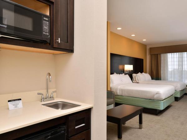 Holiday Inn Express & Suites Austin South, an IHG Hotel : photo 1 de la chambre suite lit queen-size exécutive