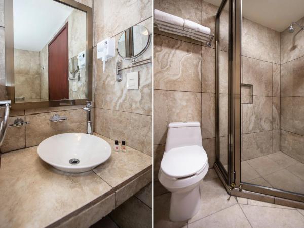 Hotel Senorial : photo 3 de la chambre chambre double ou lits jumeaux standard