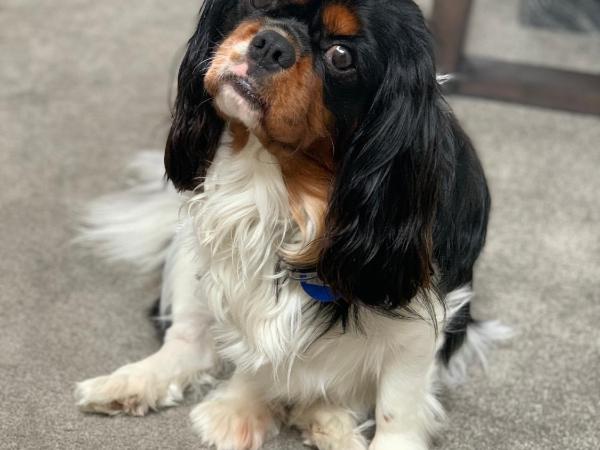 Arena Motel : photo 6 de la chambre studio - accessible aux personnes à mobilité réduite