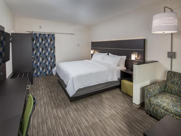 Holiday Inn Express & Suites - Saskatoon East - University, an IHG Hotel : photo 5 de la chambre suite lit king-size