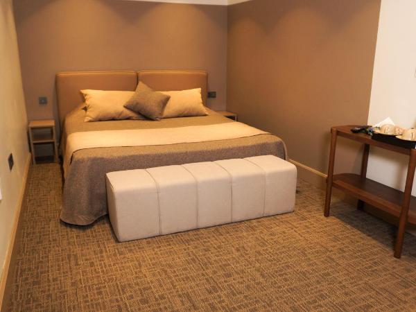 Selini Hotel İstanbul Airport : photo 7 de la chambre chambre double supérieure