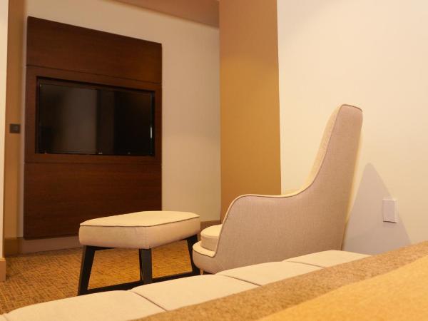 Selini Hotel İstanbul Airport : photo 6 de la chambre chambre double supérieure