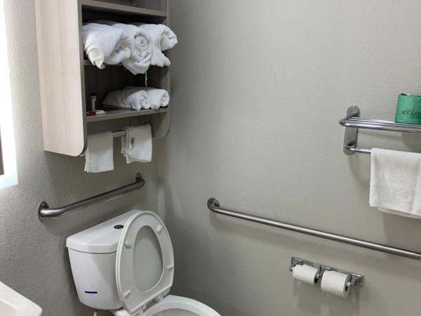 Microtel Inn by Wyndham Charlotte Airport : photo 1 de la chambre chambre lit queen-size pour personnes à mobilité réduite - non-fumeurs