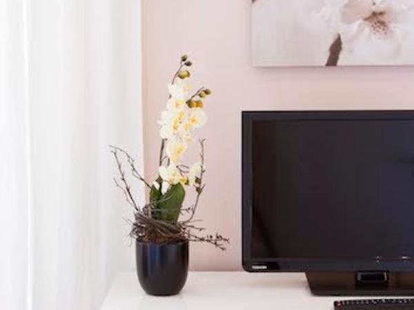 Buchholz Downtown Hotel : photo 9 de la chambre chambre double standard