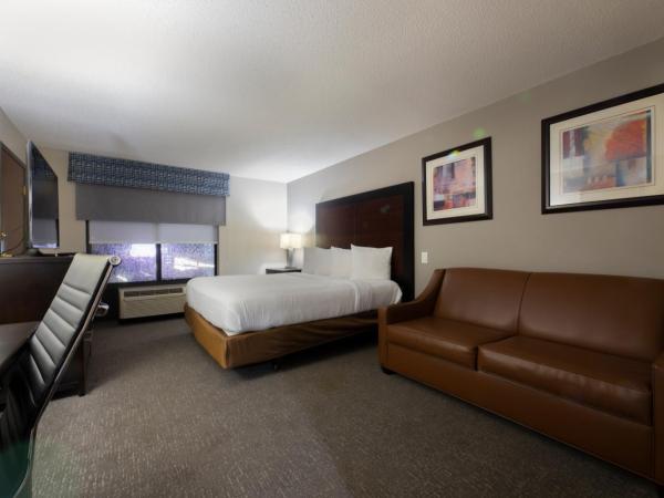 Wingate by Wyndham Atlanta Galleria/ Ballpark : photo 4 de la chambre chambre lit king-size - non-fumeurs