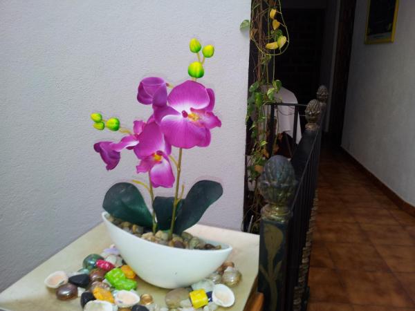 El Tio Mateo : photo 4 de la chambre chambre double ou lits jumeaux