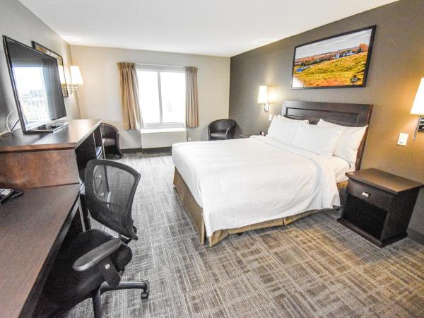 Canad Inns Destination Centre Club Regent Casino Hotel : photo 2 de la chambre chambre lit queen-size - accessible aux personnes à mobilité réduite