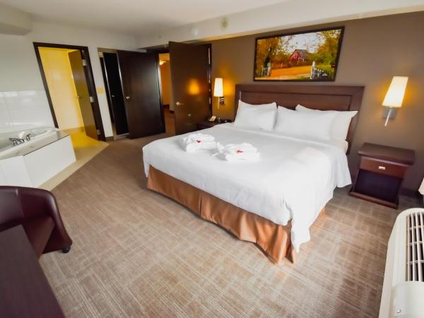 Canad Inns Destination Centre Club Regent Casino Hotel : photo 5 de la chambre suite avec jacuzzi