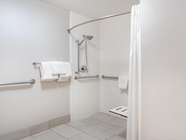 Holiday Inn Express Hotel & Suites Albuquerque - North Balloon Fiesta Park, an IHG Hotel : photo 3 de la chambre chambre lit king-size avec douche accessible en fauteuil roulant - adaptée aux personnes à mobilité réduite