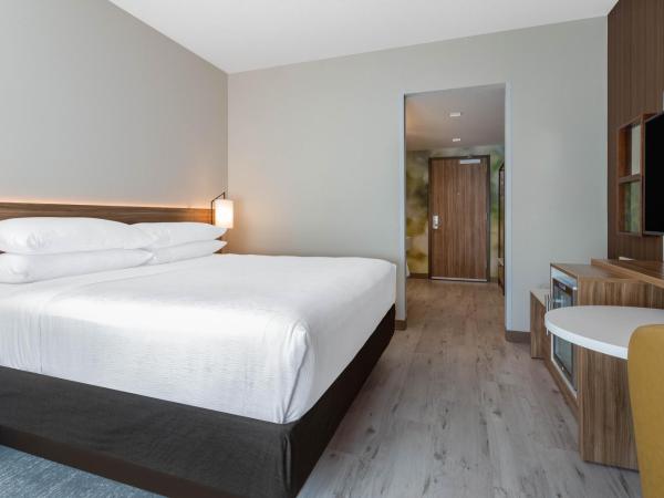 Wyndham Garden Orlando Universal / I Drive : photo 4 de la chambre chambre lit king-size (pas de taxe de séjour)