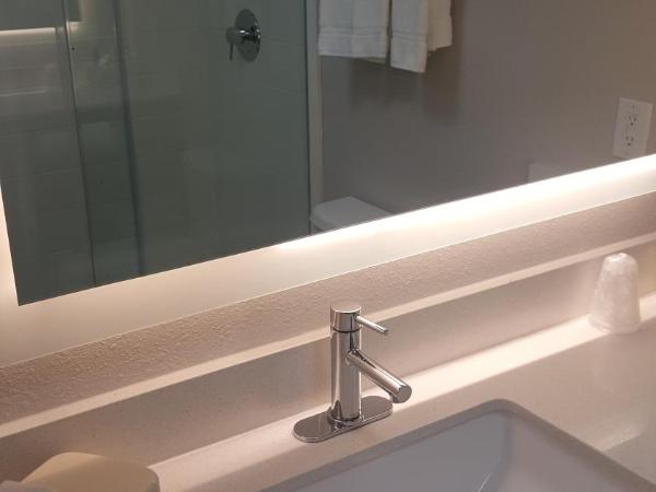 Holiday Inn Express Hotel & Suites Albuquerque - North Balloon Fiesta Park, an IHG Hotel : photo 1 de la chambre chambre standard avec 2 lits queen-size