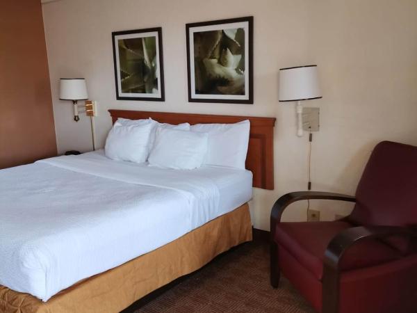 Super 8 by Wyndham San Antonio Near SeaWorld Ingram Park : photo 6 de la chambre chambre lit king-size standard