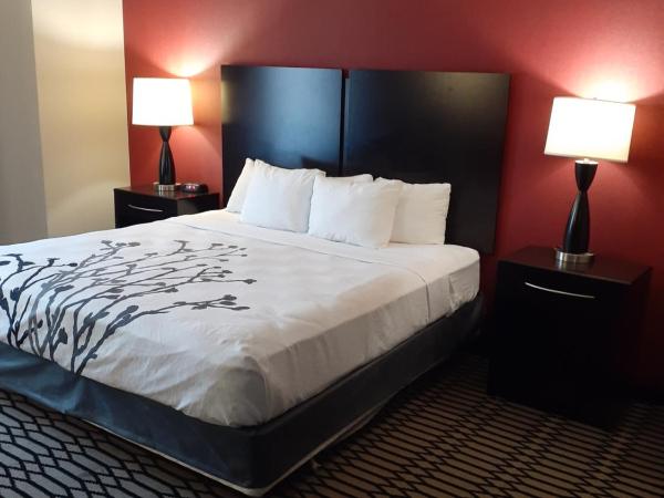 Sleep Inn & Suites BWI Airport : photo 2 de la chambre chambre lit king-size pour personnes à mobilité réduite avec douche accessible en fauteuil roulant - non-fumeurs