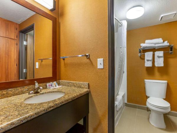 Comfort Inn & Suites Phoenix North - Deer Valley : photo 1 de la chambre standard king room with roll-in shower - accessible/non-smoking