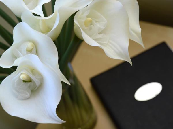 Birches Serviced Apartments : photo 5 de la chambre appartement 1 chambre