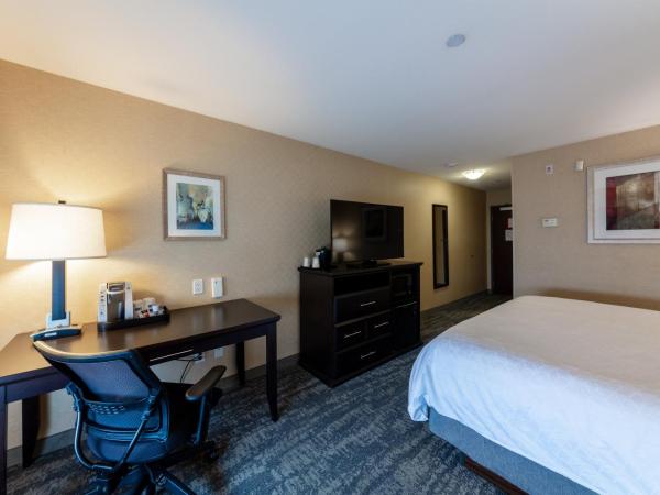 Holiday Inn Express & Suites Riverport Richmond, an IHG Hotel : photo 6 de la chambre chambre lit king-size standard