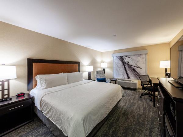 Holiday Inn Express & Suites Riverport Richmond, an IHG Hotel : photo 4 de la chambre chambre lit king-size standard
