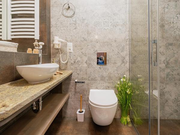 Serce Tatr Residence Zakopane - blisko Krupówek : photo 2 de la chambre chambre simple standard avec douche