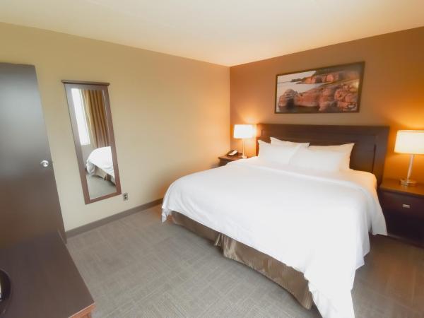 Canad Inns Destination Centre Transcona : photo 2 de la chambre suite familiale