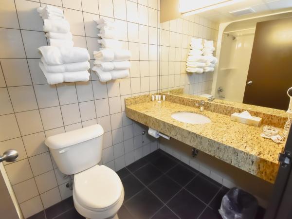 Canad Inns Destination Centre Transcona : photo 4 de la chambre suite familiale