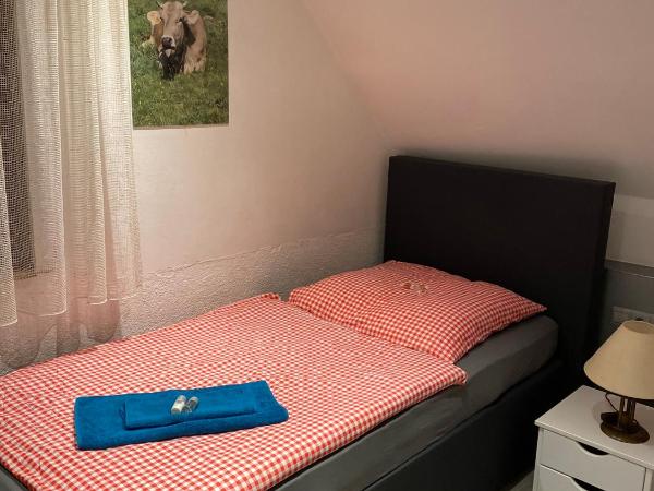 Hotel Waldhorn : photo 1 de la chambre chambre simple avec salle de bains privative