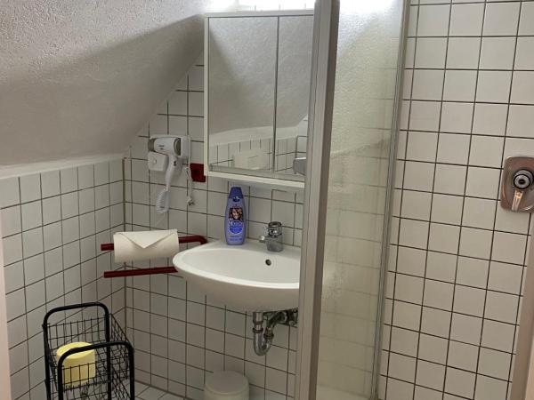 Hotel Waldhorn : photo 3 de la chambre chambre simple avec salle de bains privative