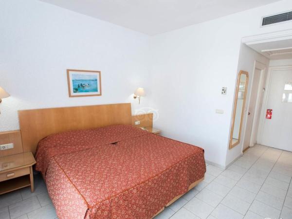 City Business Monastir Center : photo 5 de la chambre chambre simple standard