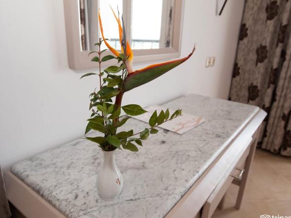 El Kantaoui Center : photo 3 de la chambre chambre double standard