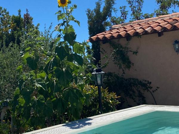 Hotel Aurora : photo 2 de la chambre chambre double ou lits jumeaux avec balcon