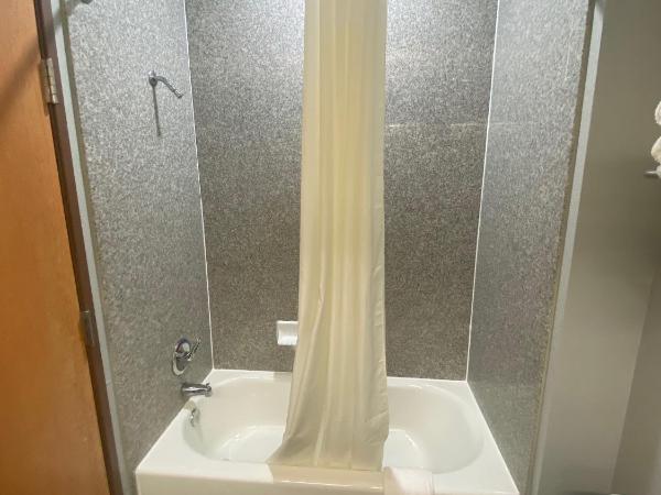 Tropicana Inn and Suites : photo 8 de la chambre chambre lit king-size