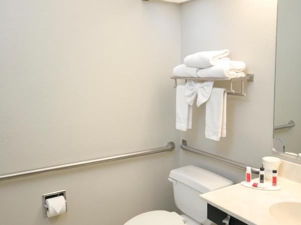 Days Inn & Suites by Wyndham Airport Albuquerque : photo 1 de la chambre chambre lit queen-size accessible aux personnes à mobilité réduite – non-fumeurs