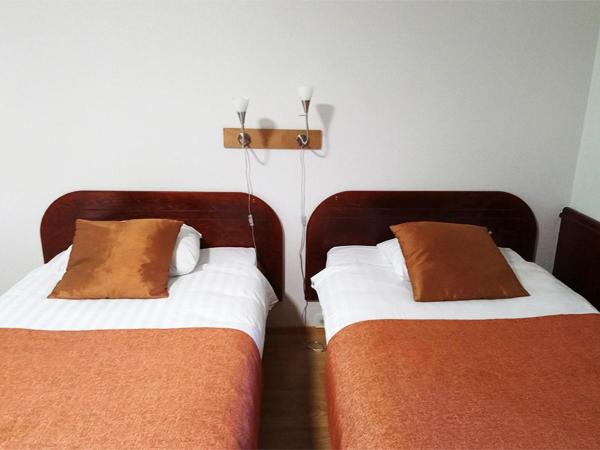 Finlandia Hotel Isovalkeinen : photo 4 de la chambre chambre double ou lits jumeaux standard plus