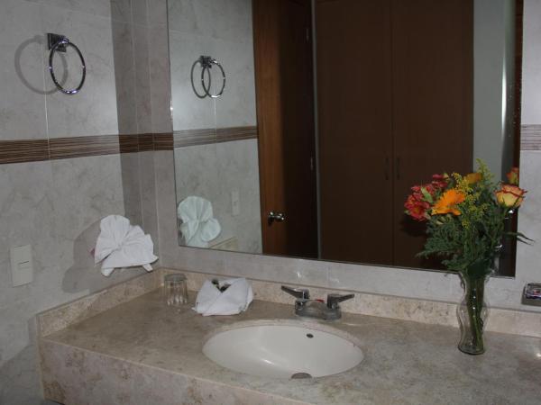 Hotel Real Zapopan : photo 7 de la chambre chambre lit king-size