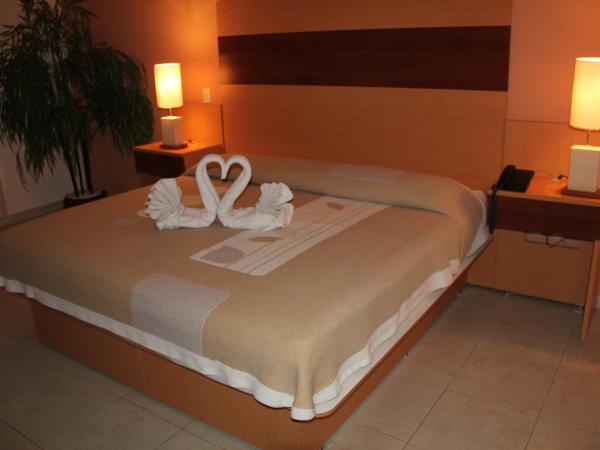 Hotel Real Zapopan : photo 5 de la chambre chambre lit king-size